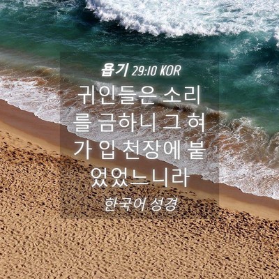 Picture 04 - 욥기 29:10 KOR - 귀인들은 소리를 금하니 그 혀가 입 - Bible Verse Picture
