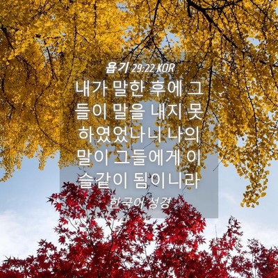 Picture 04 - 욥기 29:22 KOR - 내가 말한 후에 그들이 말을 내지 - Bible Verse Picture