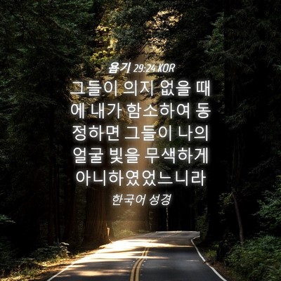 Picture 04 - 욥기 29:24 KOR - 그들이 의지 없을 때에 내가 - Bible Verse Picture