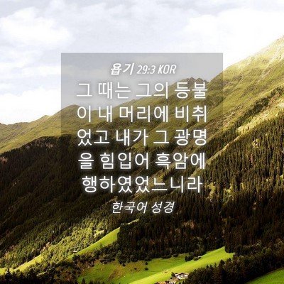 Picture 04 - 욥기 29:3 KOR - 그 때는 그의 등불이 내 머리에 - Bible Verse Picture