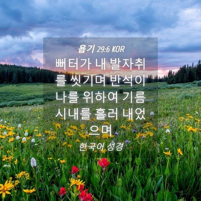 Picture 04 - 욥기 29:6 KOR - 뻐터가 내 발자취를 씻기며 반석이 - Bible Verse Picture
