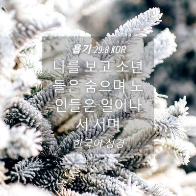 Picture 04 - 욥기 29:8 KOR - 나를 보고 소년들은 숨으며 노인들은 - Bible Verse Picture