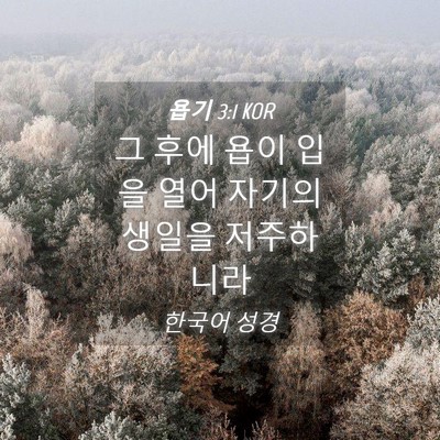 Picture 04 - 욥기 3:1 KOR - 그 후에 욥이 입을 열어 자기의 - Bible Verse Picture