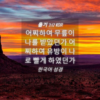 Picture 04 - 욥기 3:12 KOR - 어찌하여 무릎이 나를 받았던가 - Bible Verse Picture