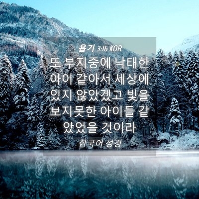 Picture 04 - 욥기 3:16 KOR - 또 부지중에 낙태한 아이 같아서 - Bible Verse Picture