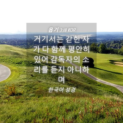 Picture 04 - 욥기 3:18 KOR - 거기서는 갇힌 자가 다 함께 평안히 - Bible Verse Picture