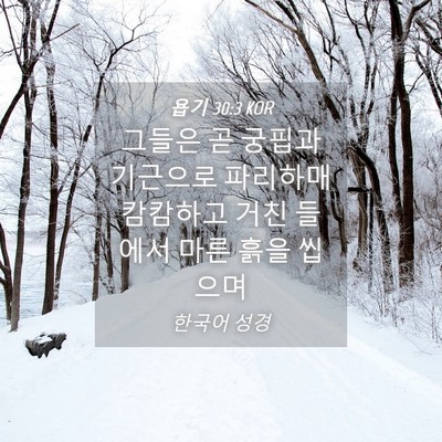 Picture 04 - 욥기 30:3 KOR - 그들은 곧 궁핍과 기근으로 파리하매 - Bible Verse Picture