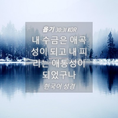 Picture 04 - 욥기 30:31 KOR - 내 수금은 애곡성이 되고 내 피리는 - Bible Verse Picture