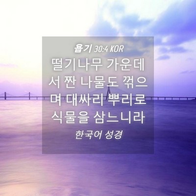 Picture 04 - 욥기 30:4 KOR - 떨기나무 가운데서 짠 나물도 꺾으며 - Bible Verse Picture