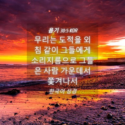 Picture 04 - 욥기 30:5 KOR - 무리는 도적을 외침 같이 그들에게 - Bible Verse Picture