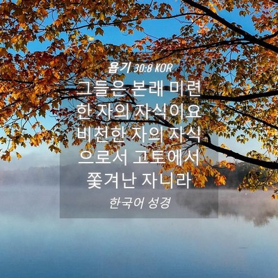 Picture 04 - 욥기 30:8 KOR - 그들은 본래 미련한 자의 자식이요 - Bible Verse Picture
