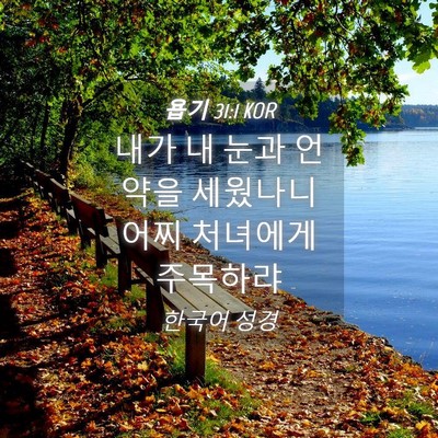 Picture 04 - 욥기 31:1 KOR - 내가 내 눈과 언약을 세웠나니 어찌 - Bible Verse Picture