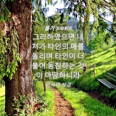 Picture 04 - 욥기 31:10 KOR - 그리하였으면 내 처가 타인의 매를 - Bible Verse Picture