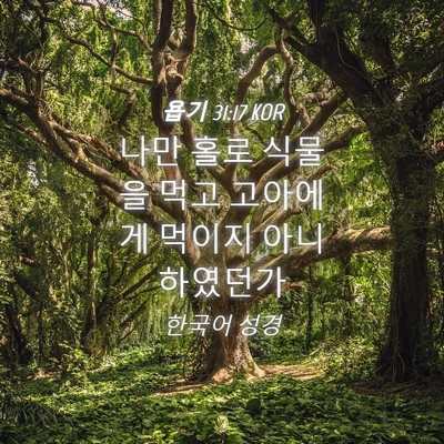 Picture 04 - 욥기 31:17 KOR - 나만 홀로 식물을 먹고 고아에게 - Bible Verse Picture