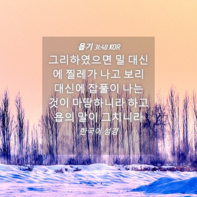 Picture 04 - 욥기 31:40 KOR - 그리하였으면 밀 대신에 찔레가 나고 - Bible Verse Picture