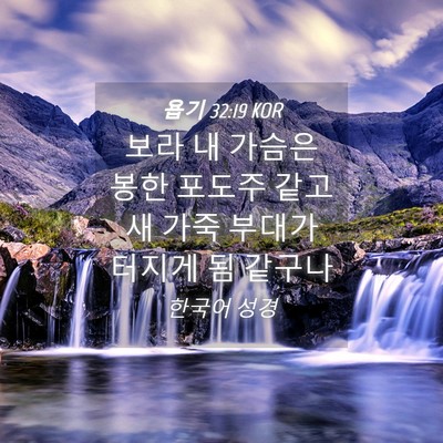 Picture 04 - 욥기 32:19 KOR - 보라 내 가슴은 봉한 포도주 같고 새 - Bible Verse Picture