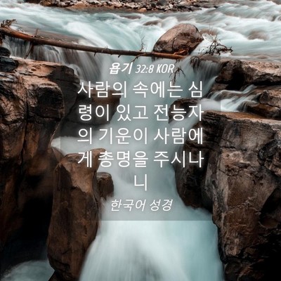 Picture 04 - 욥기 32:8 KOR - 사람의 속에는 심령이 있고 전능자의 - Bible Verse Picture