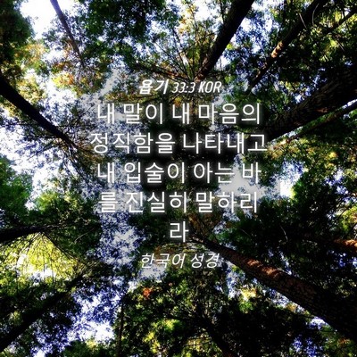Picture 04 - 욥기 33:3 KOR - 내 말이 내 마음의 정직함을 - Bible Verse Picture