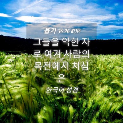 Picture 04 - 욥기 34:26 KOR - 그들을 악한 자로 여겨 사람의 - Bible Verse Picture