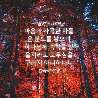 Picture 04 - 욥기 36:13 KOR - 마음이 사곡한 자들은 분노를 쌓으며 - Bible Verse Picture