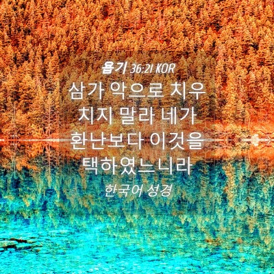 Picture 04 - 욥기 36:21 KOR - 삼가 악으로 치우치지 말라 네가 - Bible Verse Picture