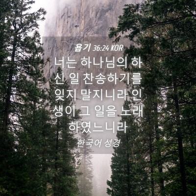 Picture 04 - 욥기 36:24 KOR - 너는 하나님의 하신 일 찬송하기를 - Bible Verse Picture