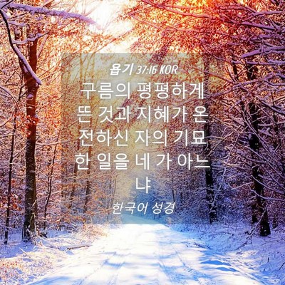 Picture 04 - 욥기 37:16 KOR - 구름의 평평하게 뜬 것과 지혜가 - Bible Verse Picture