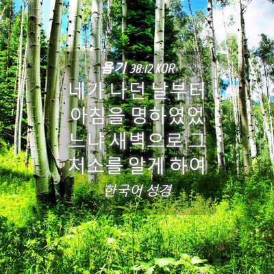 Picture 04 - 욥기 38:12 KOR - 네가 나던 날부터 아침을 - Bible Verse Picture