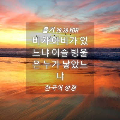 Picture 04 - 욥기 38:28 KOR - 비가 아비가 있느냐 이슬 방울은 - Bible Verse Picture