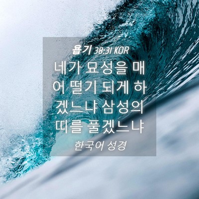Picture 04 - 욥기 38:31 KOR - 네가 묘성을 매어 떨기 되게 - Bible Verse Picture