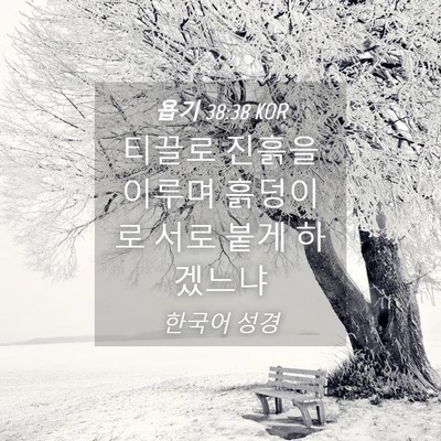 Picture 04 - 욥기 38:38 KOR - 티끌로 진흙을 이루며 흙덩이로 서로 - Bible Verse Picture