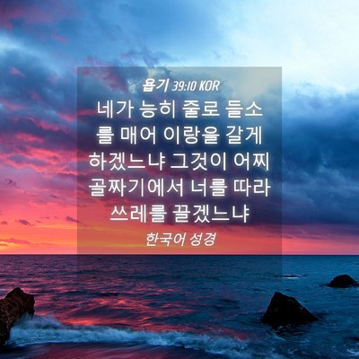 Picture 04 - 욥기 39:10 KOR - 네가 능히 줄로 들소를 매어 이랑을 - Bible Verse Picture