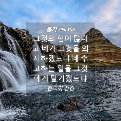 Picture 04 - 욥기 39:11 KOR - 그것의 힘이 많다고 네가 그것을 - Bible Verse Picture