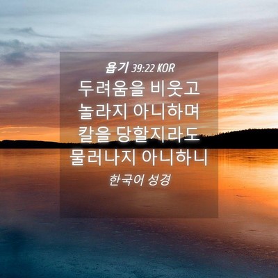 Picture 04 - 욥기 39:22 KOR - 두려움을 비웃고 놀라지 아니하며 - Bible Verse Picture