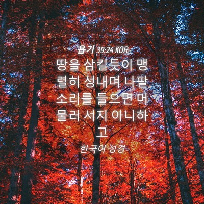 Picture 04 - 욥기 39:24 KOR - 땅을 삼킬듯이 맹렬히 성내며 나팔 - Bible Verse Picture