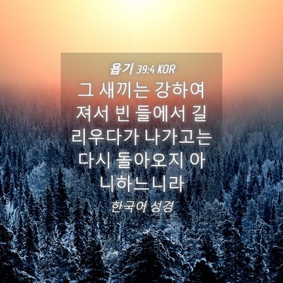 Picture 04 - 욥기 39:4 KOR - 그 새끼는 강하여져서 빈 들에서 - Bible Verse Picture
