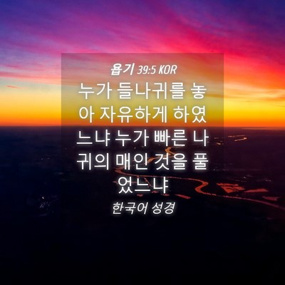 Picture 04 - 욥기 39:5 KOR - 누가 들나귀를 놓아 자유하게 - Bible Verse Picture
