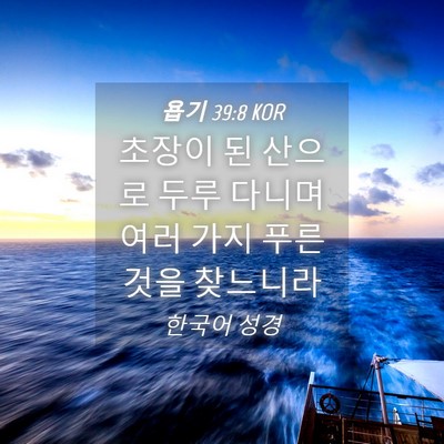 Picture 04 - 욥기 39:8 KOR - 초장이 된 산으로 두루 다니며 여러 - Bible Verse Picture