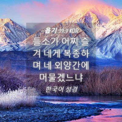 Picture 04 - 욥기 39:9 KOR - 들소가 어찌 즐겨 네게 복종하며 네 - Bible Verse Picture