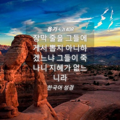 Picture 04 - 욥기 4:21 KOR - 장막 줄을 그들에게서 뽑지 - Bible Verse Picture