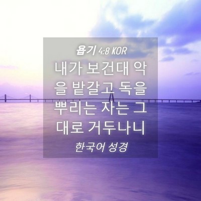 Picture 04 - 욥기 4:8 KOR - 내가 보건대 악을 밭갈고 독을 - Bible Verse Picture