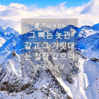 Picture 04 - 욥기 40:18 KOR - 그 뼈는 놋관 같고 그 가릿대는 철장 - Bible Verse Picture