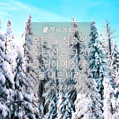 Picture 04 - 욥기 40:20 KOR - 모든 들 짐승의 노는 산은 그것을 - Bible Verse Picture