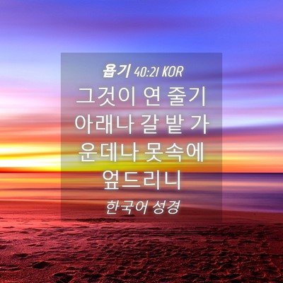 Picture 04 - 욥기 40:21 KOR - 그것이 연 줄기 아래나 갈 밭 - Bible Verse Picture