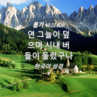 Picture 04 - 욥기 40:22 KOR - 연 그늘이 덮으며 시내 버들이 - Bible Verse Picture