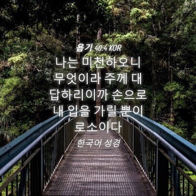 Picture 04 - 욥기 40:4 KOR - 나는 미천하오니 무엇이라 주께 - Bible Verse Picture