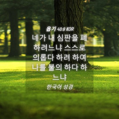 Picture 04 - 욥기 40:8 KOR - 네가 내 심판을 폐하려느냐 스스로 - Bible Verse Picture