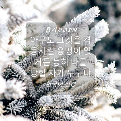 Picture 04 - 욥기 41:10 KOR - 아무도 그것을 격동시킬 용맹이 - Bible Verse Picture