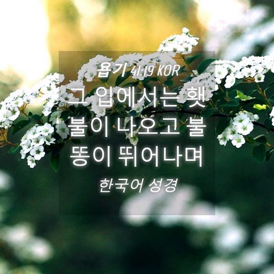Picture 04 - 욥기 41:19 KOR - 그 입에서는 횃불이 나오고 불똥이 - Bible Verse Picture