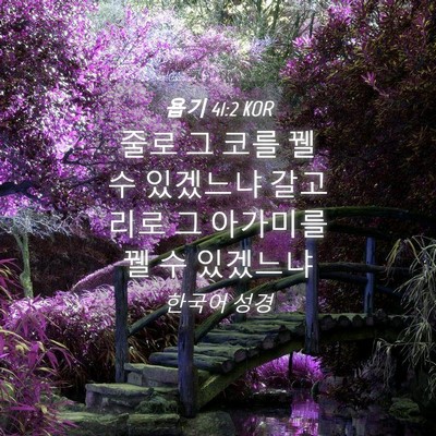 Picture 04 - 욥기 41:2 KOR - 줄로 그 코를 꿸 수 있겠느냐 - Bible Verse Picture